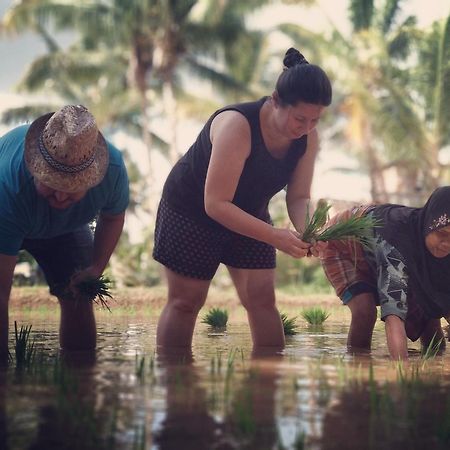 Alfarizi Homestay Tetebatu Bagian luar foto