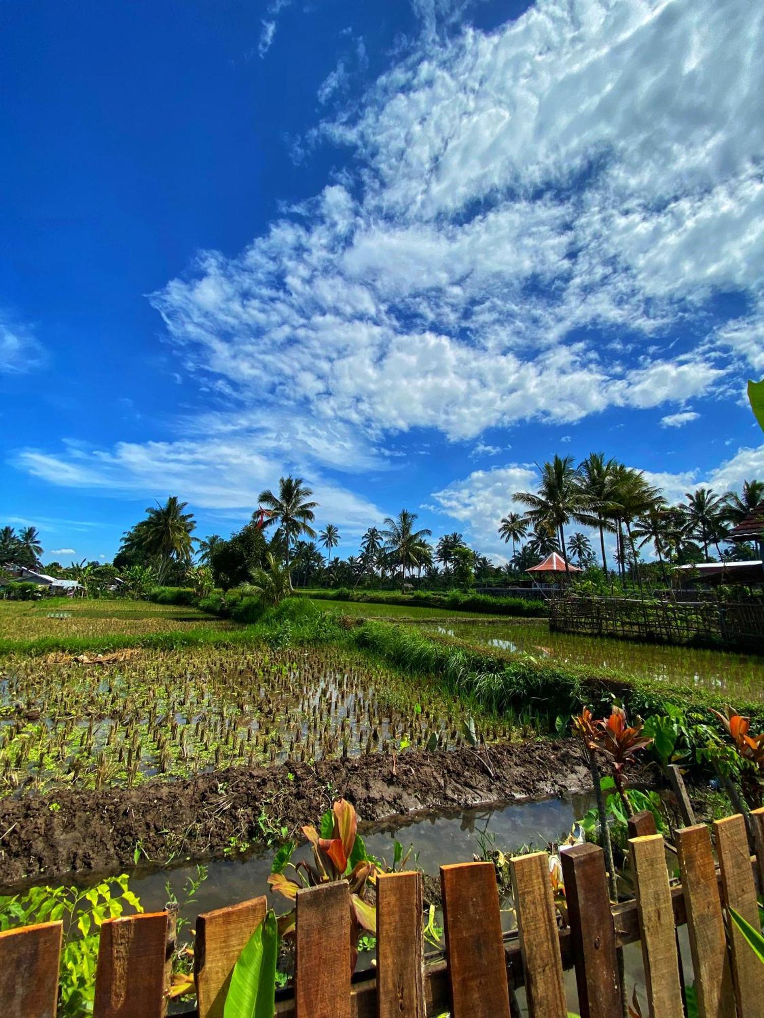 Alfarizi Homestay Tetebatu Ruang foto