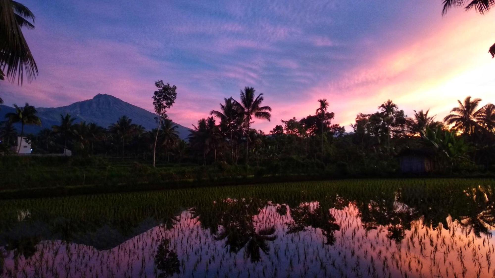 Alfarizi Homestay Tetebatu Bagian luar foto